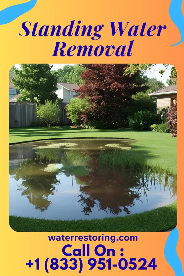 Standing Water Removal in Niantic, IL
